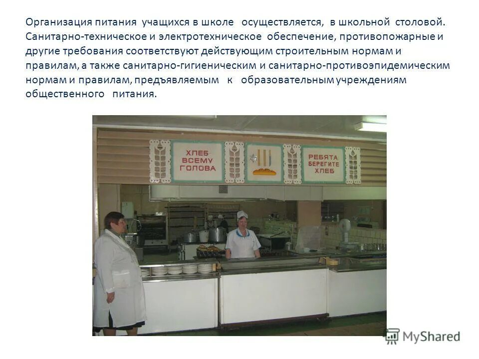 Организация горячего питания учащихся. Организация питания в школе. организация столовой в школе. документация школьной столовой.