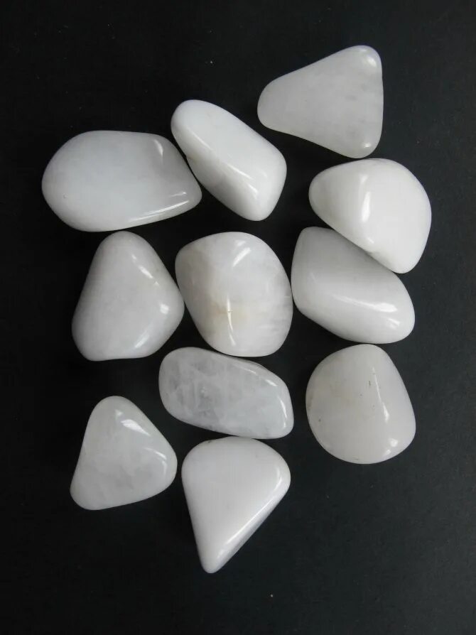 Полудрагоценные камни агат. Молочный кварц камень. Агат камень белый агат. Белые морские камни. Говлит минерал.
