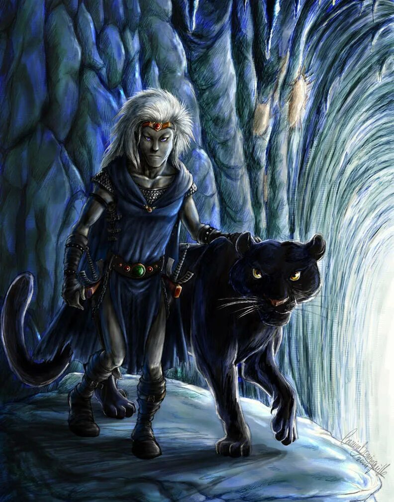 Ночные эльфы варкрафт 3. Эльф отступник. Эльфийка моргана. Хаэльфы свордмастер. Сальваторе дзирт до'урден.