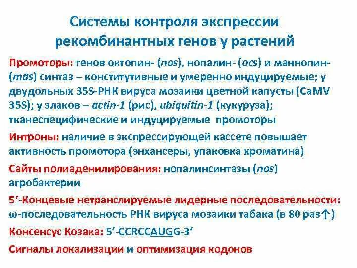 Контроль экспрессии. Механизмы контроля экспрессии генов. ген nos3. экспрессионный контроль. конститутивный промотор.