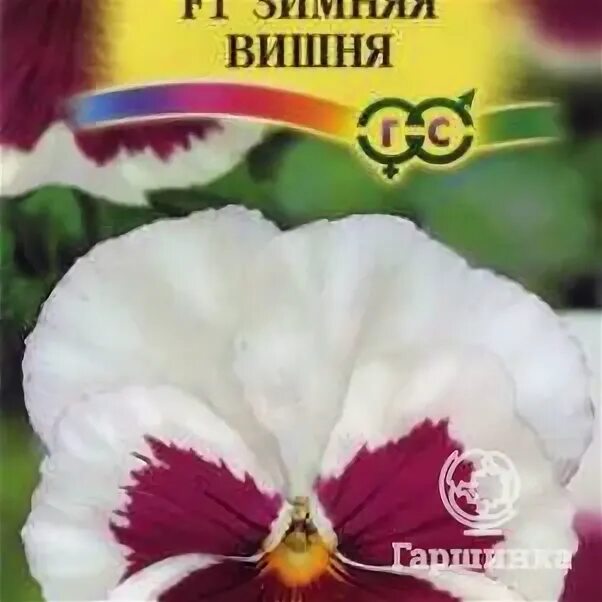 Семена зимняя вишня. Виола виттрока кан кан f1 черная луна. виола зимняя вишня f1 аэл. семена виола кан кан золотая.