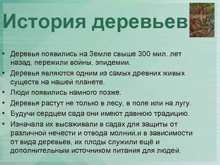 Как появились деревья