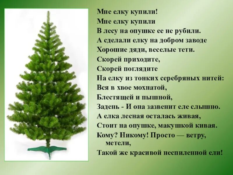 Какой номер у ели. Описание елочки. стихотворение о ели. мне елку купили стих. стихотворение про ель.