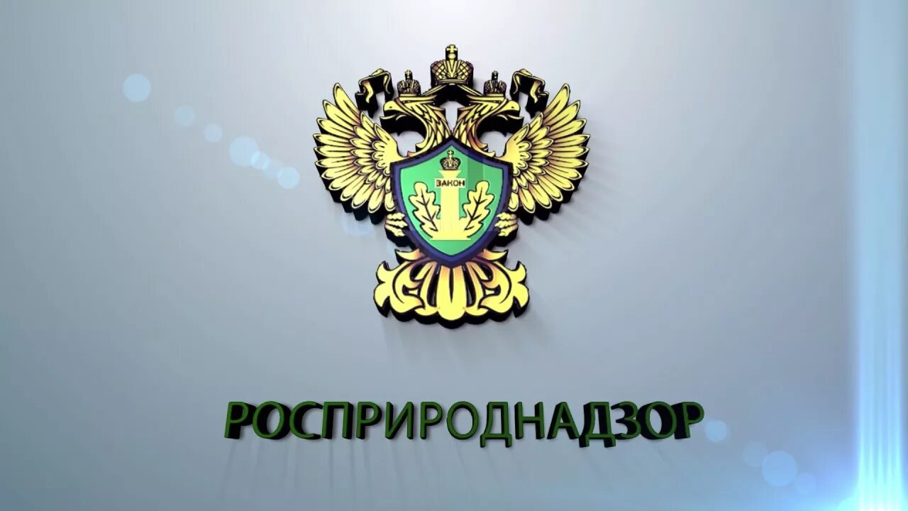 Московско смоленское управление росприроднадзора