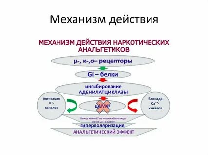 Действия ищущего