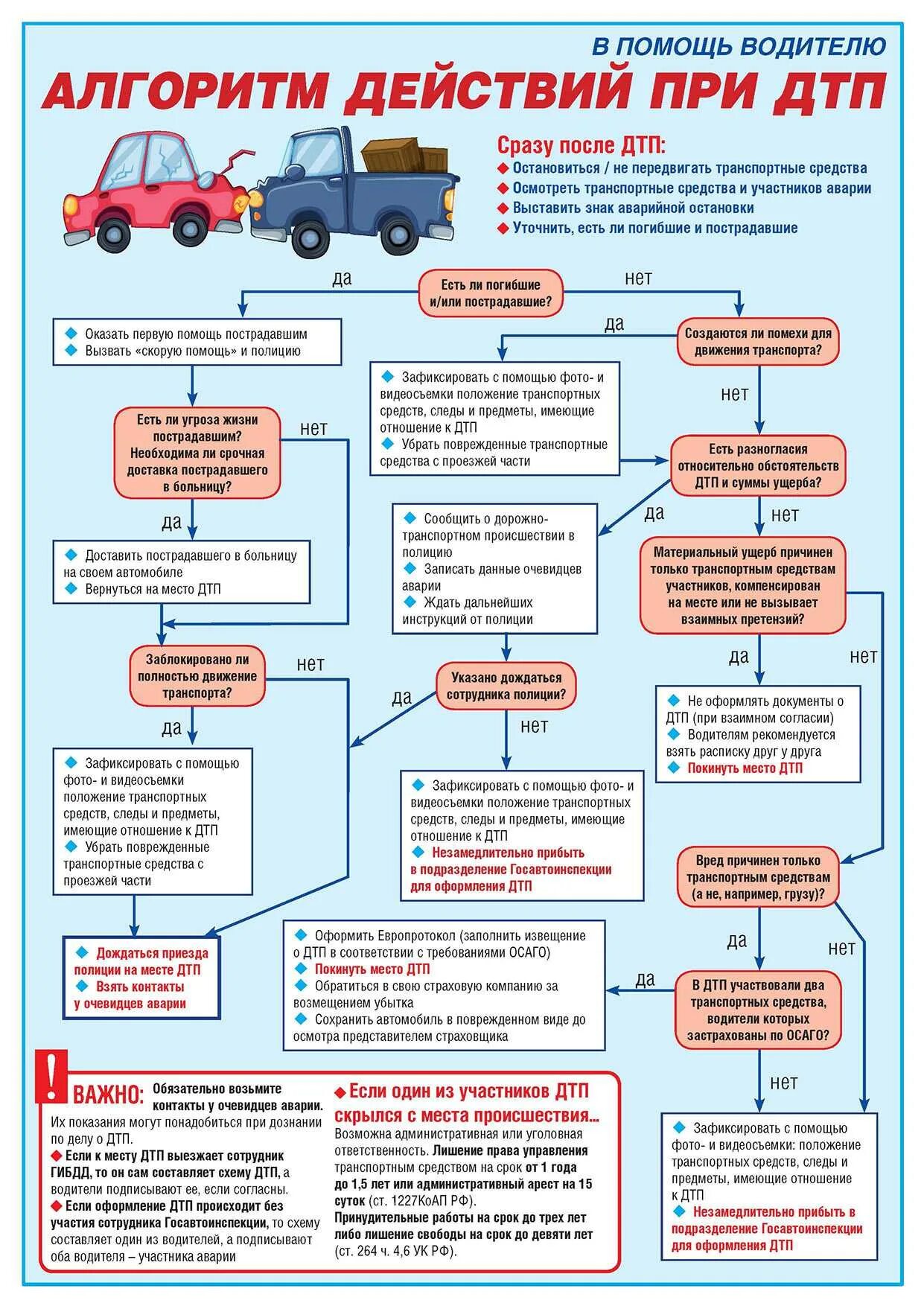 Выплата на покупку автомобиля. Алгоритмы действия при дорожно-транспортном происшествии. Алгоритм поведения при ДТП. Дорожно-транспортные происшествия. Алгоритм действий при ДТП. Порядок действий водителя при ДТП.