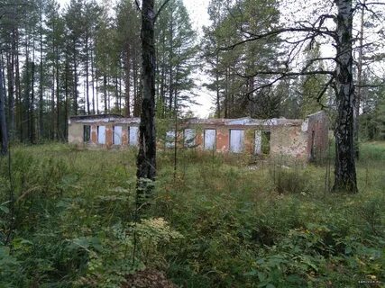 Пионерский лагерь солнечный
