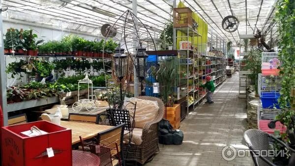 Планета лета пятигорск садовый центр. Атарбекова 3 краснодар садовый центр. Садовый центр краснодар. Планета лета, аул новая адыгея. Садовый центр западный.