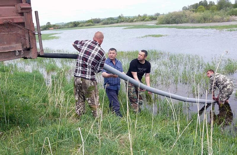 Пруд село Талица Алтайский край. Село Талица Советский район Алтайский край. Село Кокши Советский район Алтайский край. Архив Алтайский край Советский район село Талица. Погода кокши советский алтайский край