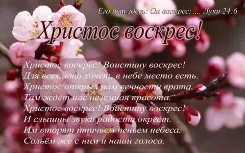 Стихи мсц