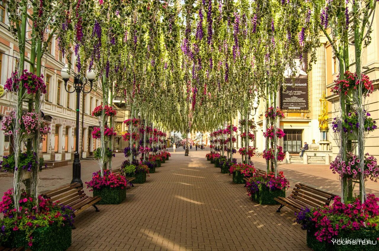 Истории цветочной улицы. Аллея на Арбате Москва. Арбат Москва летом. Красивая улица Арбат. Парк Арбат Москва.