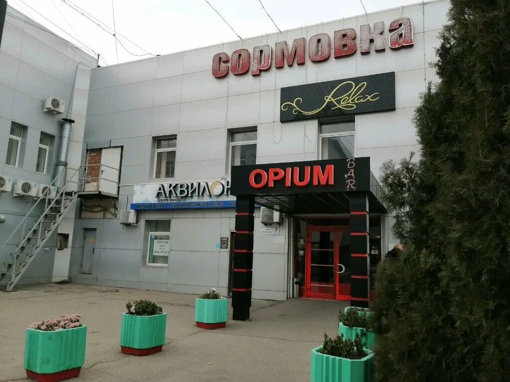 пивзавод оборудование. туя западная микс. интерьер мини кофейни. пивоварня завод. литг.