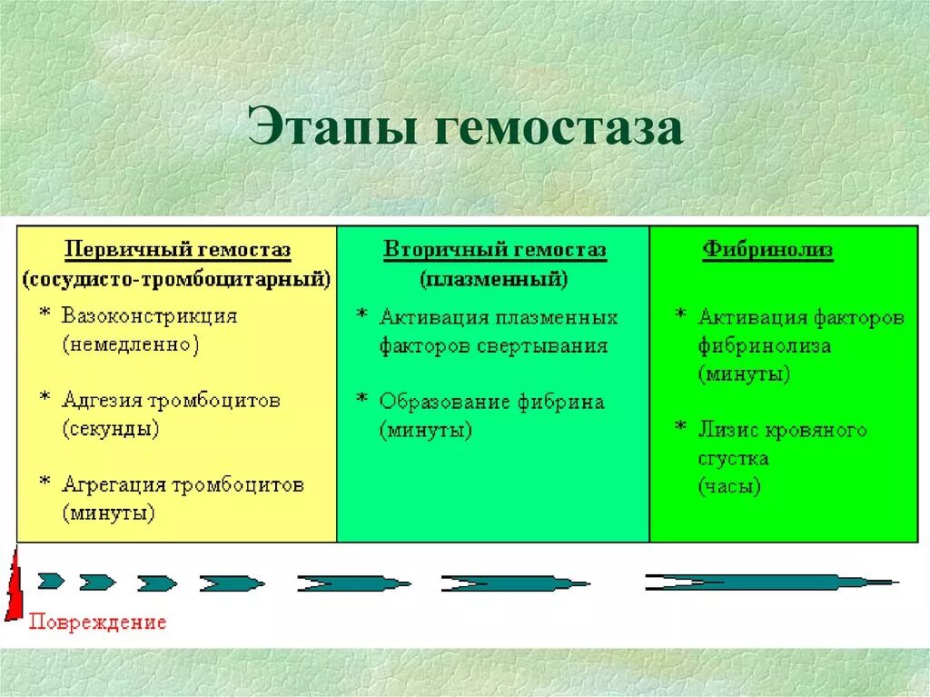 Основные компоненты система гемокоагуляции.. Компоненты гемостаза. Вторичный гемостаз этапы. Этапы первичного гемостаза.