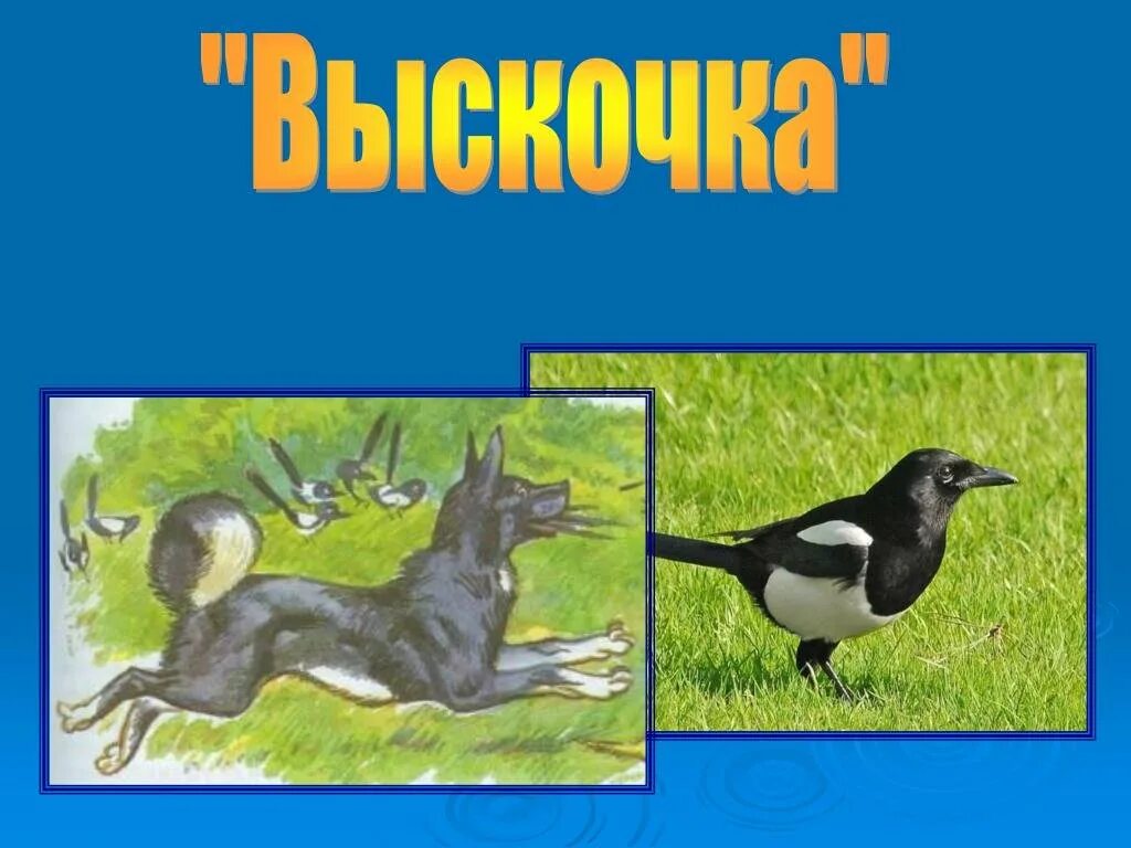 Герои произведения выскочка. Произведение пришвин выскочка. Выскочка пришвин сорока. Выскочка пришвин 4 класс. Пришвин вьюшка и выскочка.