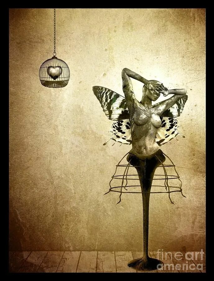 Scream of the butterfly