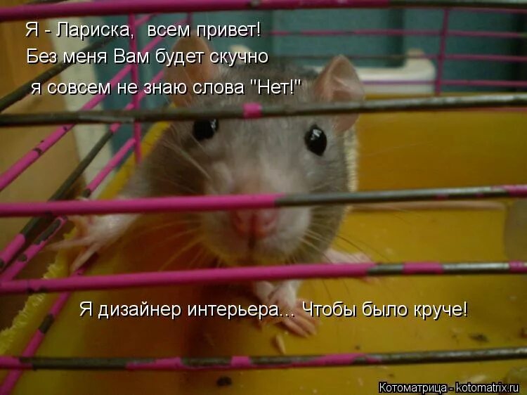 Нет я не знаю такого слова