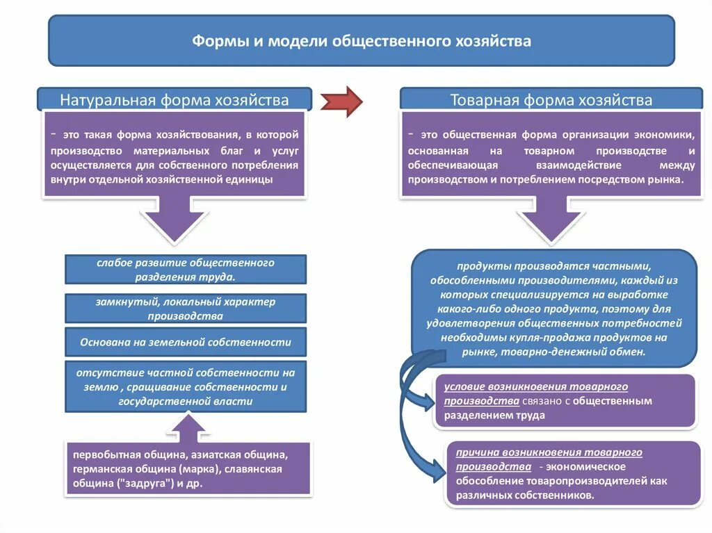 Модель общественной организации