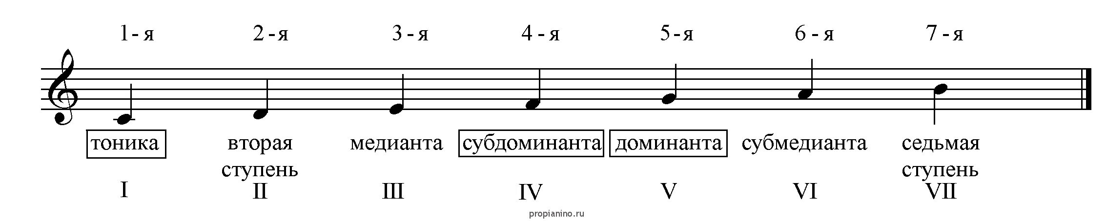 Доминанта музыкальный. Тоника Субдоминанта Доминанта ступени. Таблица ступеней Субдоминанта тоника Доминанта. Тоника Субдоминанта Доминанта в до мажоре. Тоника Субдоминанта Доминанта тоника в до мажоре.