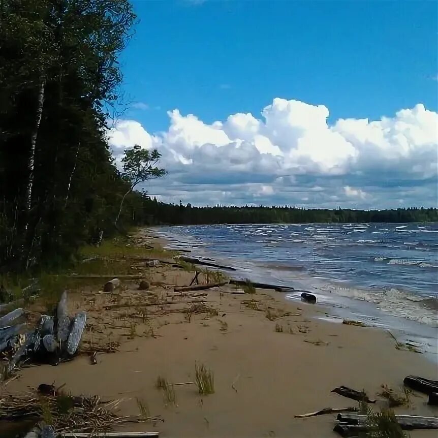 Онега норвежский прогноз. Пляж в городе Онега. Пляжи на Онежском в июле. Онега пляж фото. Онежский пляж у ДК.