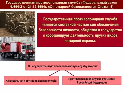Виды служб пожарной охраны