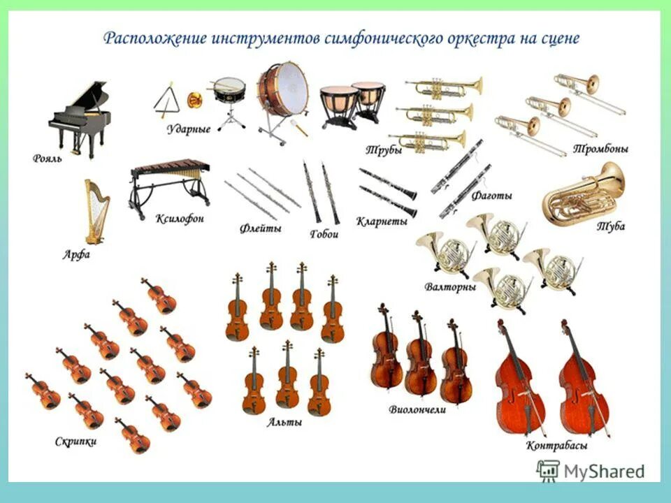 Сколько инструментов входит в состав симфонического. Сколько инструментов входит в состав симфонического