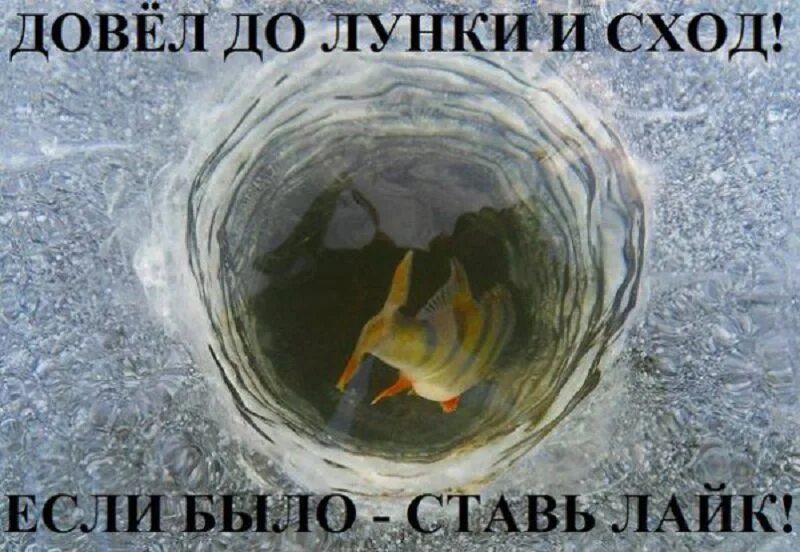Рыбам в зиму жить