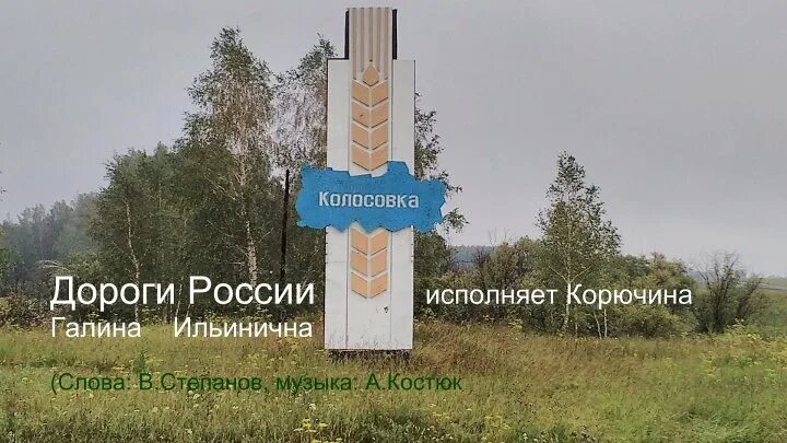 Село Колосовка. Колосовка Омская область. Омская область Колосовский район с Колосовка. Колосовка Омская область фото.