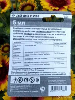 Эйфория на 10 литров
