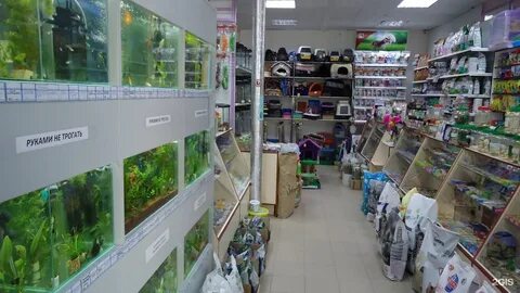 Карелия череповец