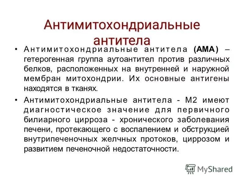Антитела к м2. Антитела к м2
