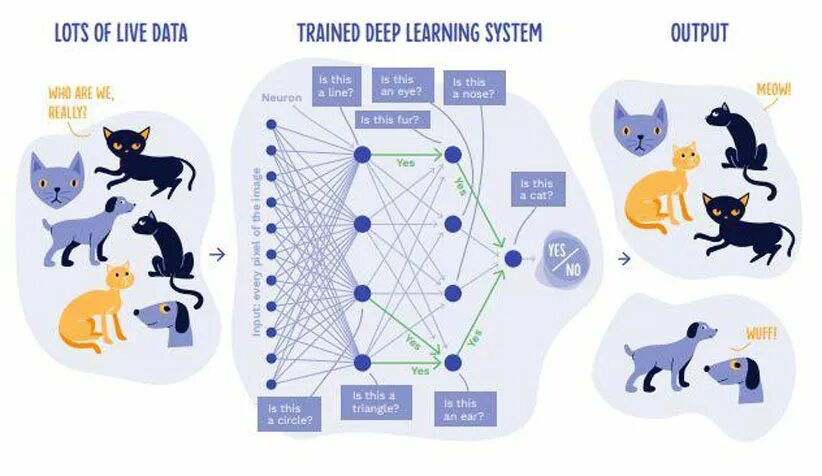 Нейросеть перевести видео с английского на русский. Машинное обучение кошки и собаки. Нейронная сеть и коты. Нейросеть классификация. Нейросеть кошка собака.
