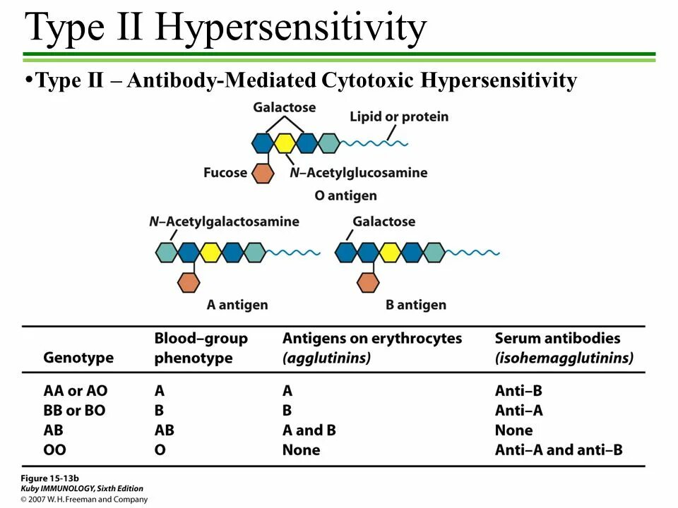 Type i type ii. Hypersensitivity Type 2. Types of hypersensitivity. Hypersensitivity diseases Types. Type 3 hypersensitivity Covid-19.