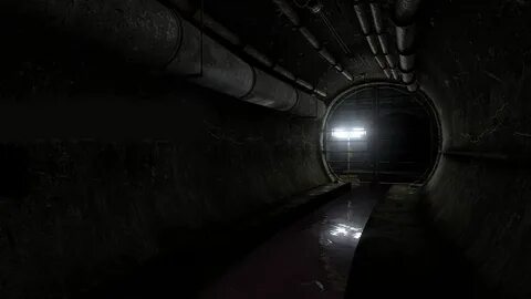 Transmissions element 120