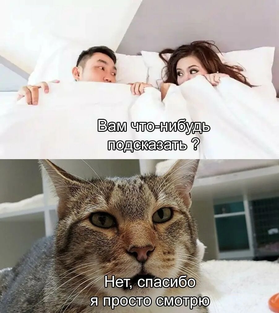 Посоветуйте какую нибудь. Позитивные шутки в картинках. вам что-нибудь подсказать. вам что то подсказать. смешные картинки 31 декабря и 1 января.
