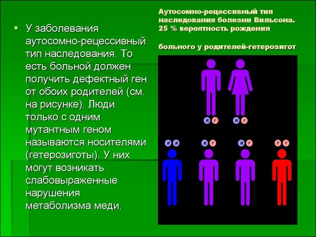 Болезнь Вильсона Тип наследования. Синдром Вильсона Коновалова Тип наследования. Вильсона Коновалова аутосомно рецессивный. Болезнь Вильсона Коновалова Тип наследования аутосомно.