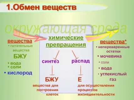 Какие изменения происходят с веществами