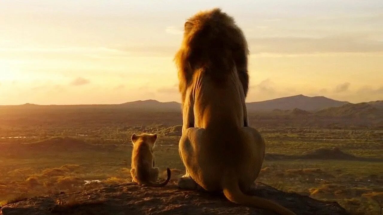 Король лев круг. Король Лев 2019 Муфаса. Король Лев 2019 Симба. Король Лев Муфаса и Симба.