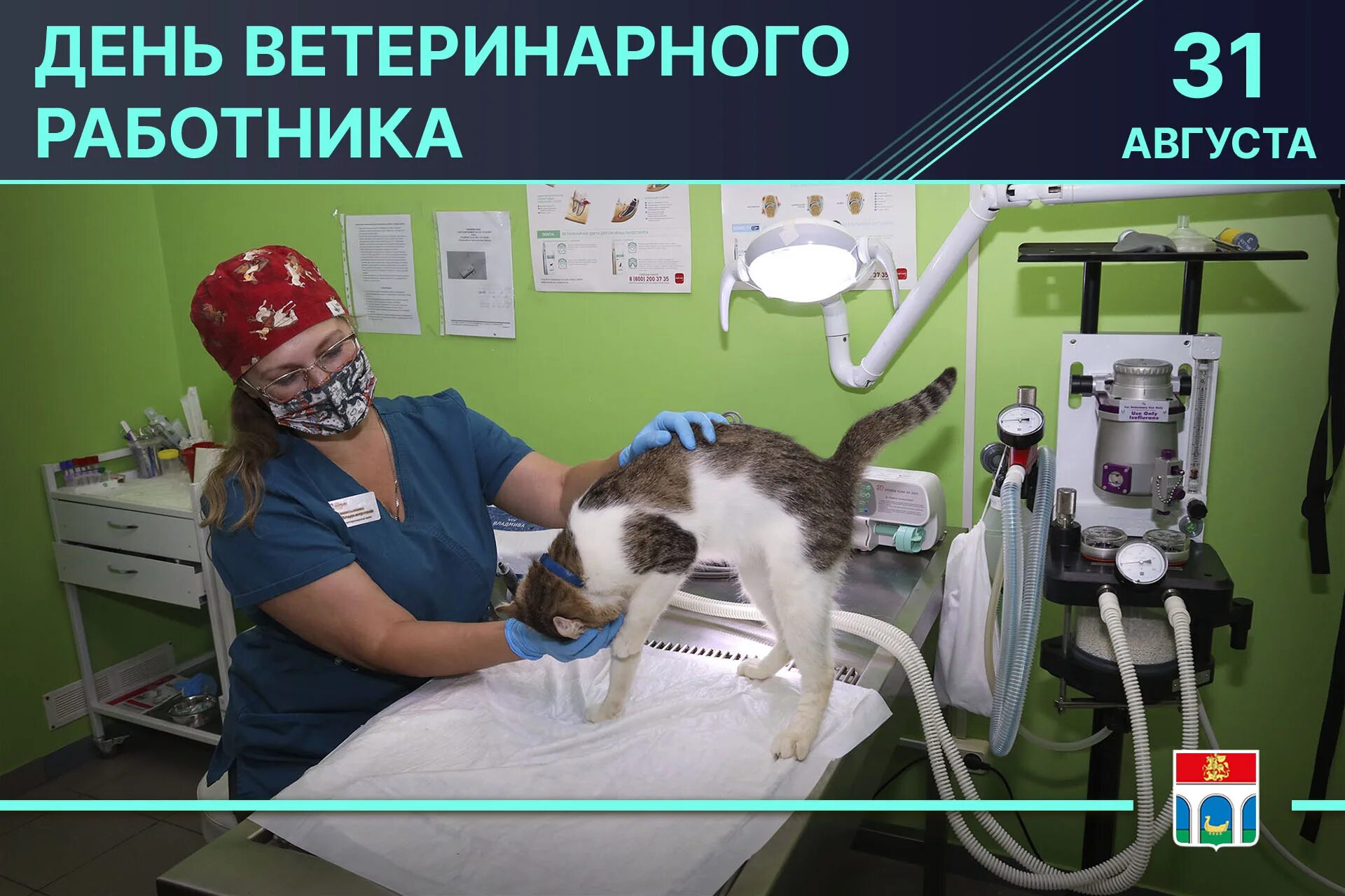 Международный день ветеринарного врача 2025. С днем ветеринарного врача. с днем ветеринарного работника. ветеринарный работник. ветеринар работник.