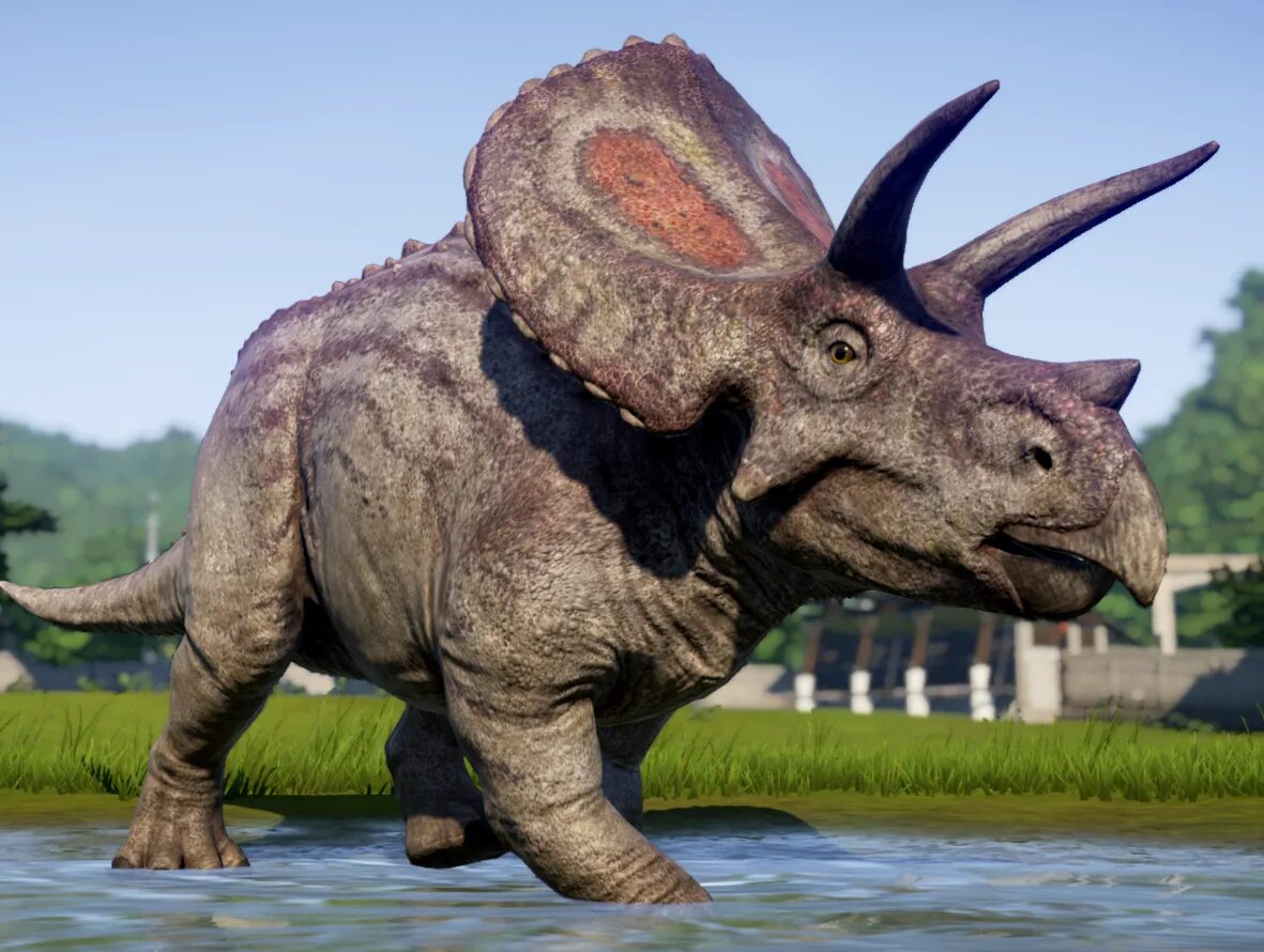Цератопсы. Торозавр Трицератопс. Jurassic World Evolution Торозавр. Torosaurus динозавр. Торозавр Хасмозавр.