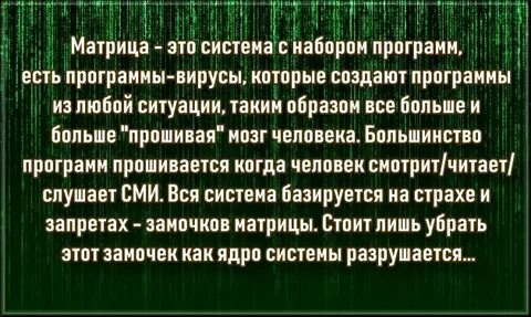 Система жизни читать