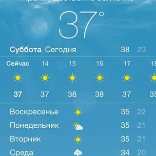 Прогноз погоды сегодня в ардоне