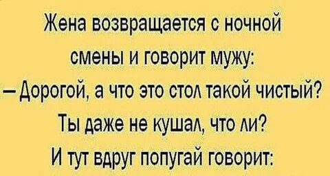 Анекдот про попугая