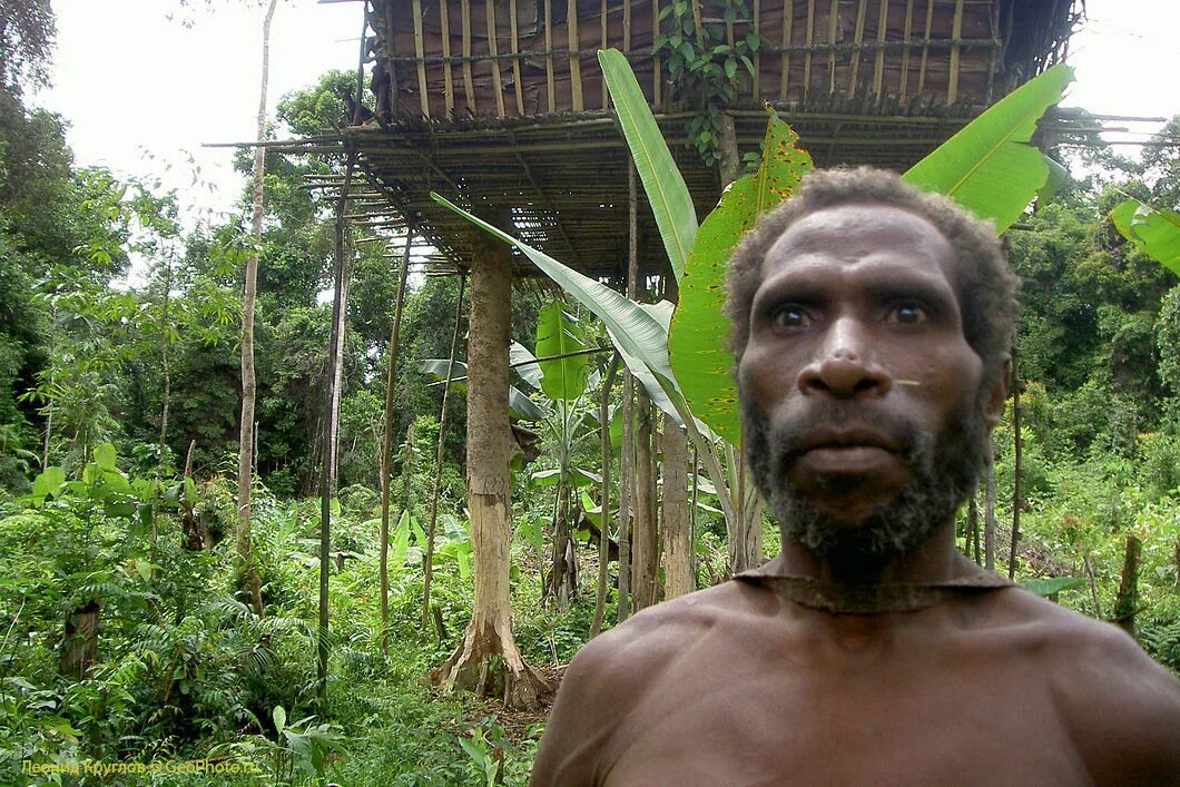 Люди живущие на деревьях. Новая Гвинея. Племя КОРОВАИ. Племя КОРОВАИ Папуа новая Гвинея. Племя КОРОВАИ из Папуа.