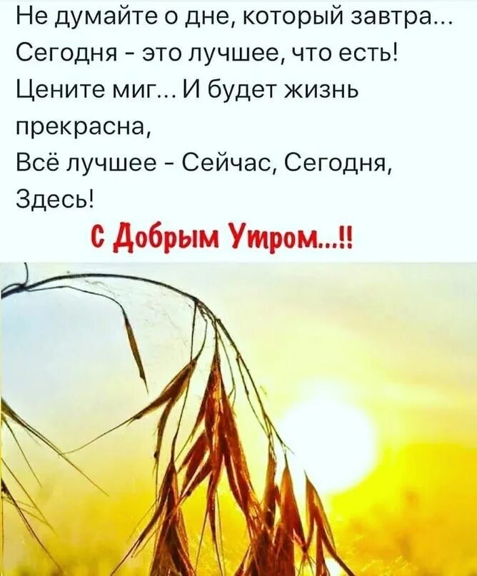 Ты сегодня мой я всегда твоя