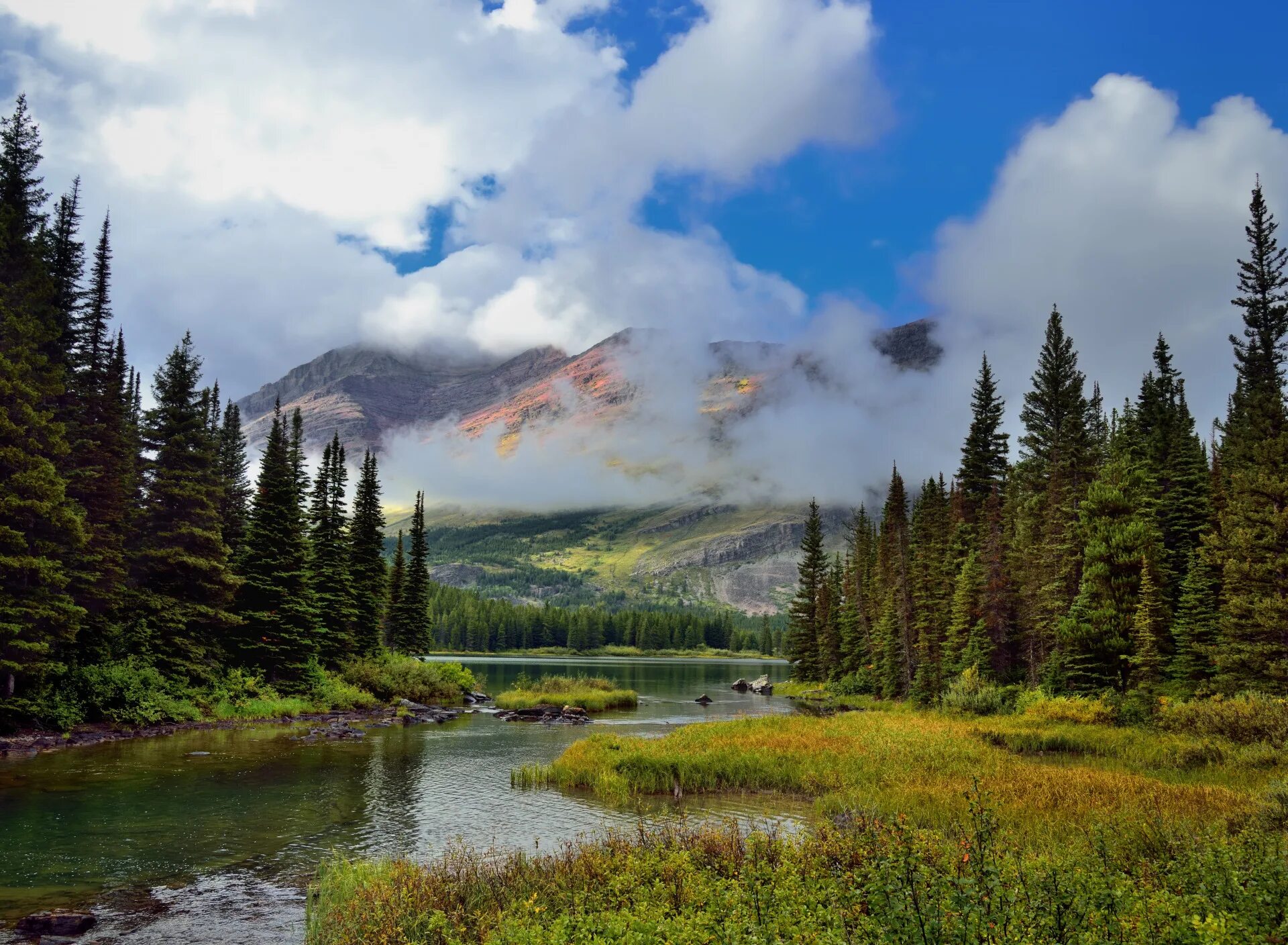 сосны озеро горы. горный алтай тайга. лес сосны жигулевские горы. сосны озеро горы. сосновый лес река.