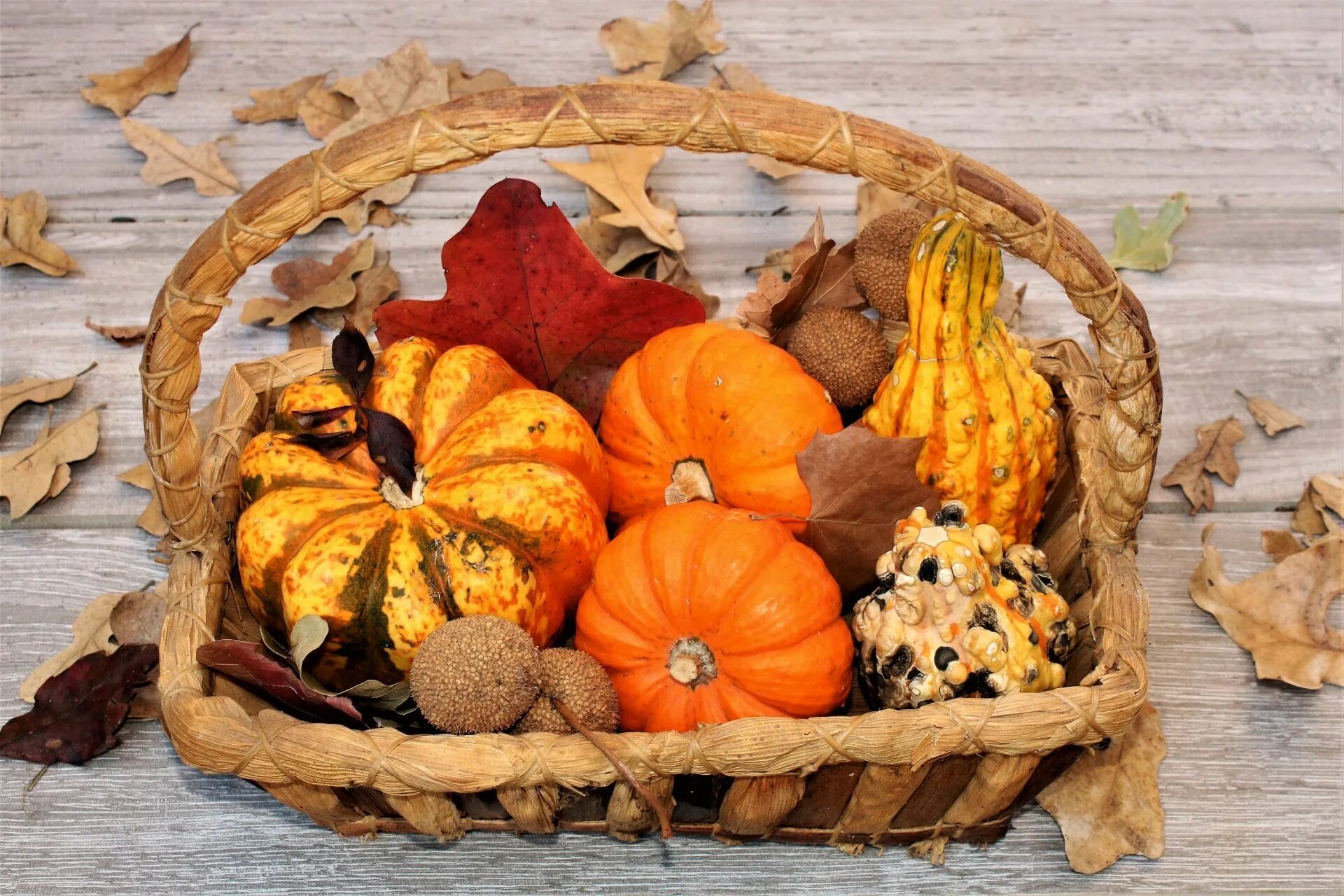 Осенняя корзина. Осенняя корзинка с фруктами. Осенняя композиция. Осенняя композиция. Осенние дары природы.