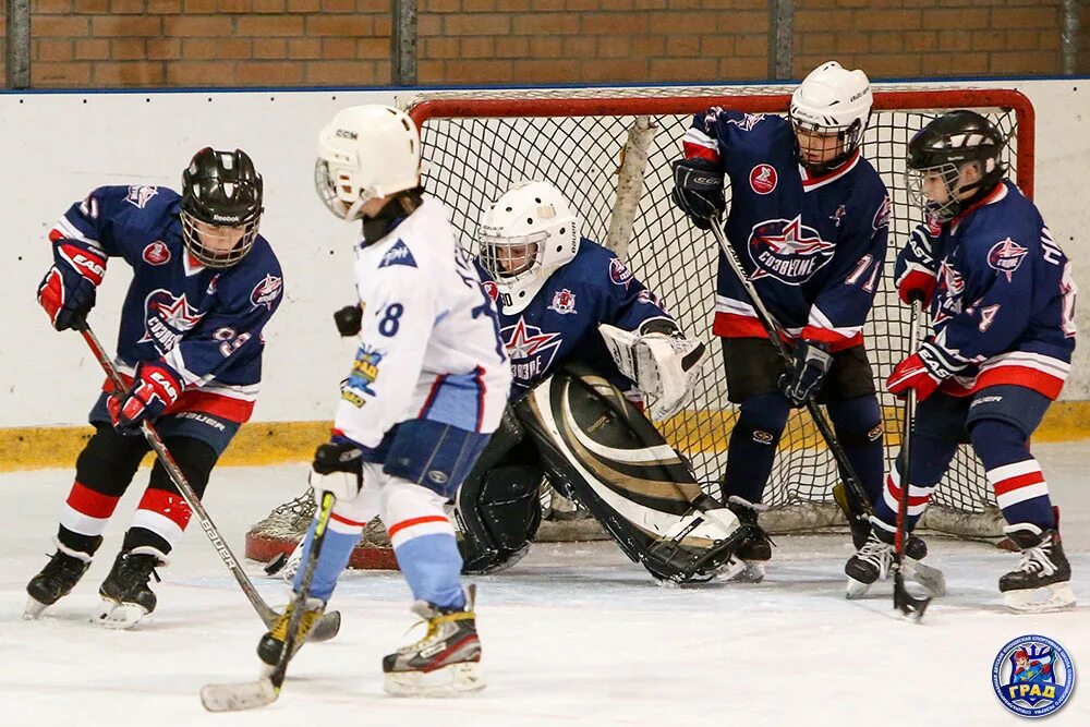 алёна ао концерн созвездие воронеж. созвездие воронеж. школа созвездие воронеж. завод созвездие воронеж. завод созвездие воронеж.