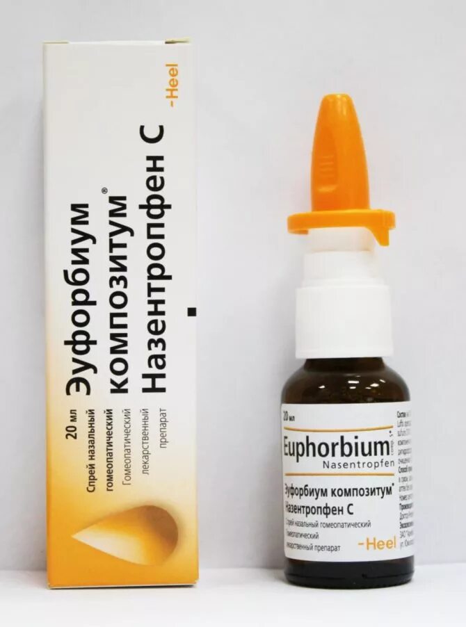 Капли в нос от заложенности при беременности. Гомеопатический спрей эуфорбиум. Капли эуфорбиум композитум для детей. Гомеопатическое лекарство эуфортиус композитор. Капли в нос гомеопатия эуфорбиум.