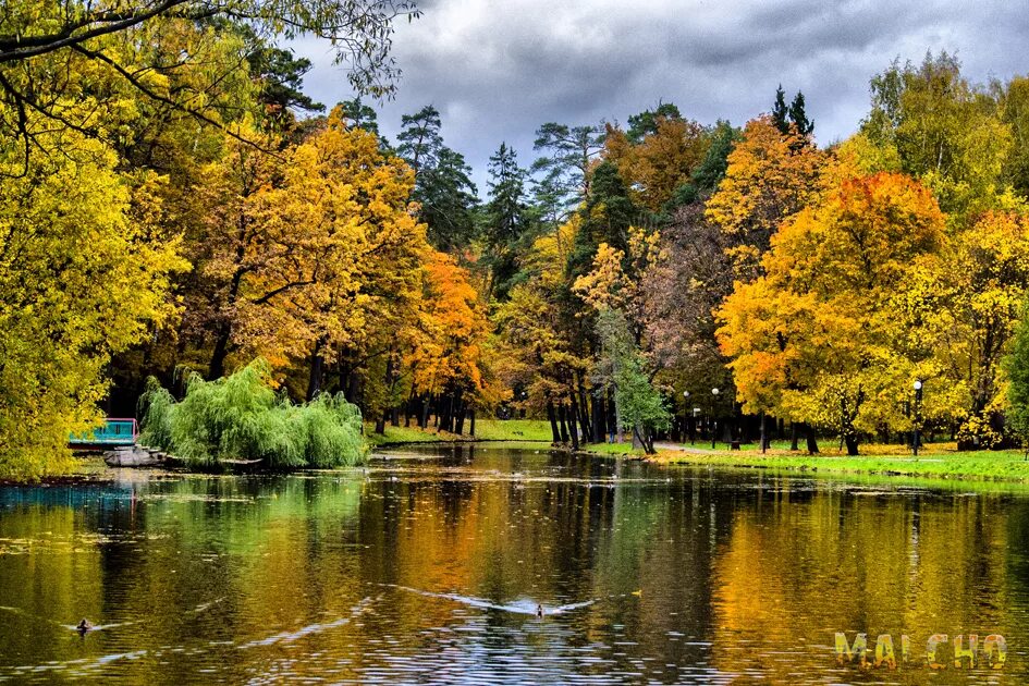 Красногорск улица 50 лет октября красногорск. Знаменское-губайлово парк. Октябрь красногорск. Детский городок губайловский парк. Ул 50 лет октября 2 красногорск.