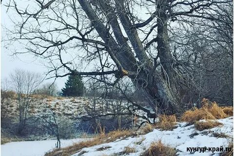 Погода в кунгуре ноябрь